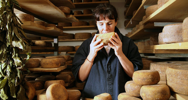  Cheese farm tour in Pienza and Orcia Valley