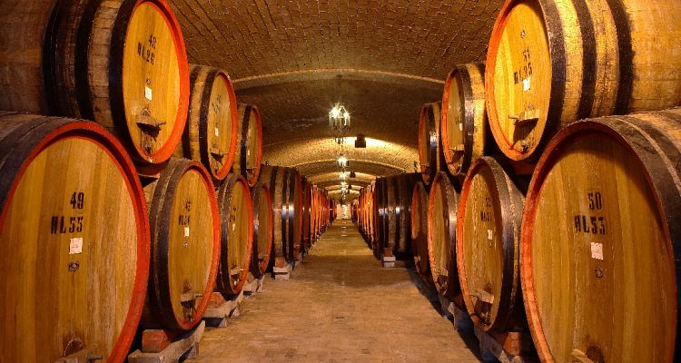 Inside a Brunello Wine Cellar in Montepulciano, Tuscany