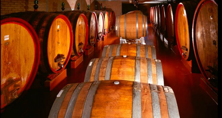 Brunello di Montalcino Barrels in a Tuscan winery